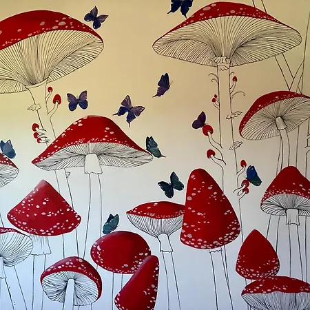 La Casa Di Alice - Casa Natura Апартаменти Сенігаллія