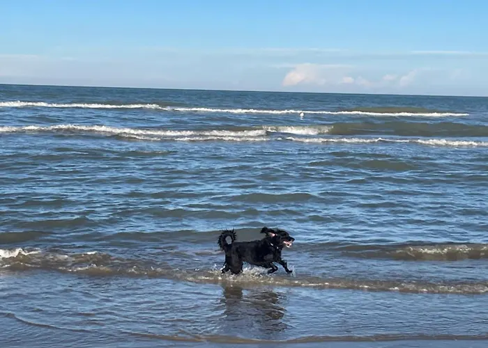 La Casa Di Alice - Casa Natura Apartment *