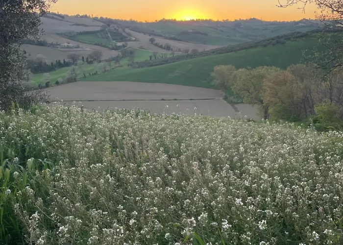 La Casa Di Alice - Casa Natura Senigallia