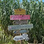 公寓 La Casa Di Alice - Casa Natura *