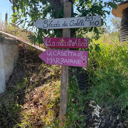 La Casa Di Alice - Casa Natura