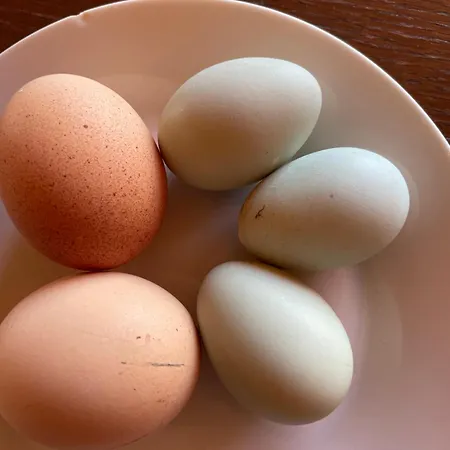 La Casa Di Alice - Casa Natura