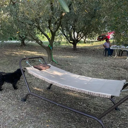 La Casa Di Alice - Casa Natura