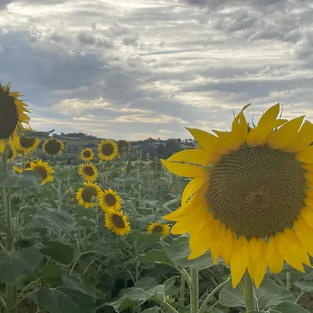 La Casa Di Alice - Casa Natura *