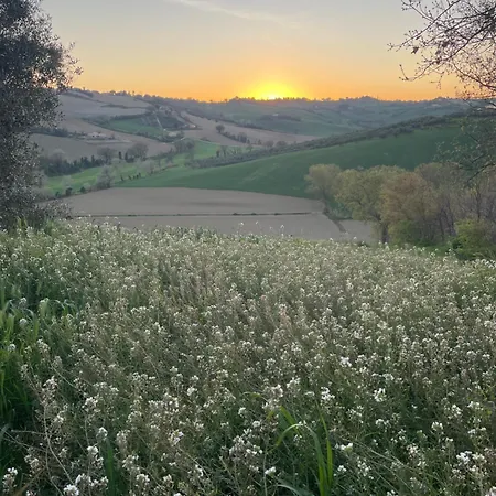 La Casa Di Alice - Casa Natura Senigallia