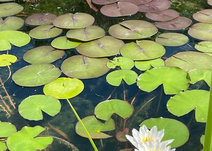 La Casa Di Alice - Casa Natura *