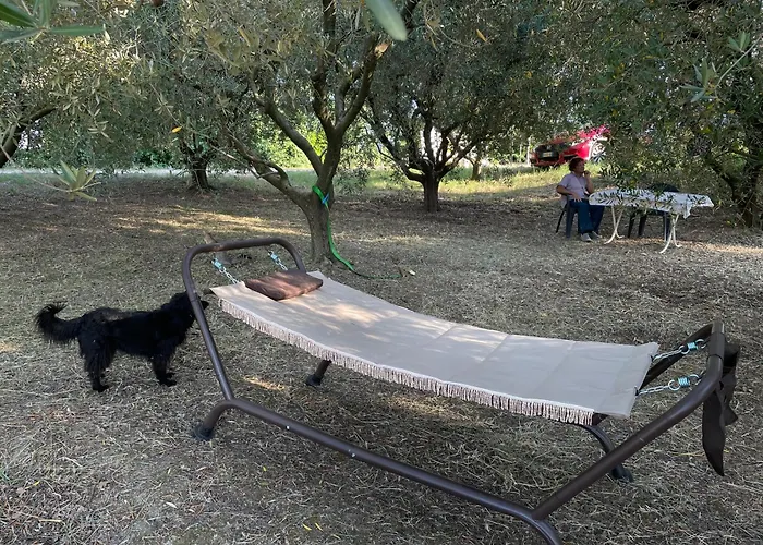 La Casa Di Alice - Casa Natura