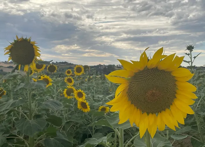 La Casa Di Alice - Casa Natura *