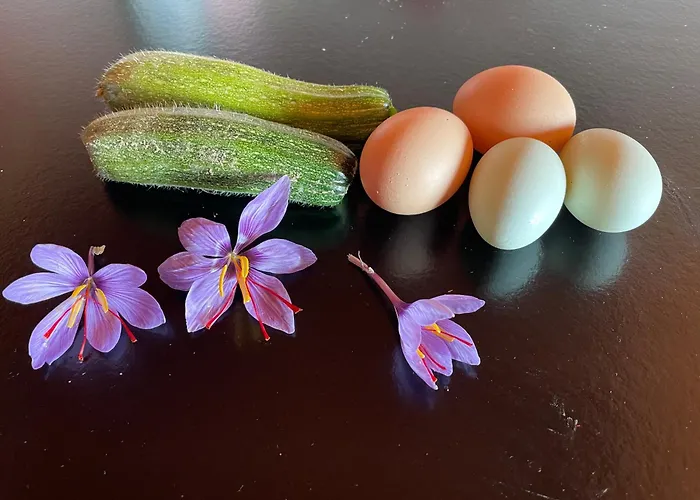 La Casa Di Alice - Casa Natura *